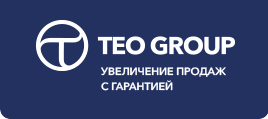 teo group logo